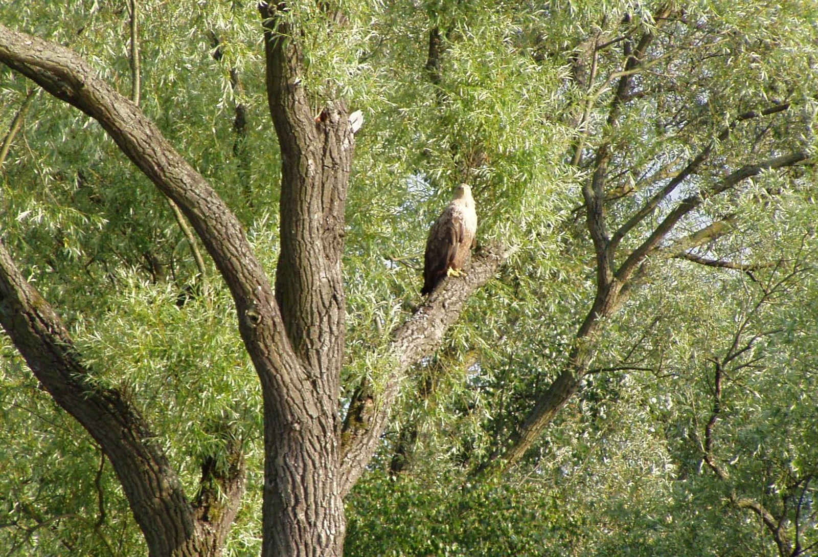 Trasa nr 4 - rejs na Orli Przesmyk, Rzeka Święta i Duńczyca