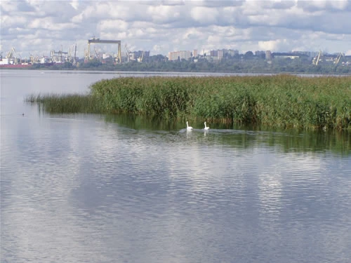 Trasa nr 5 - Szczecińska Wenecja, Stare dźwigi portowe, rejs po Szczecinie