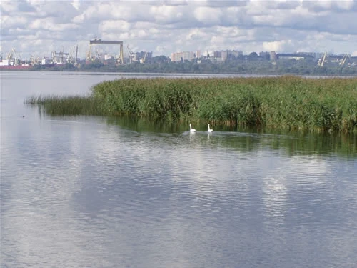 Trasa nr 5 - Szczecińska Wenecja, Stare dźwigi portowe, rejs po Szczecinie